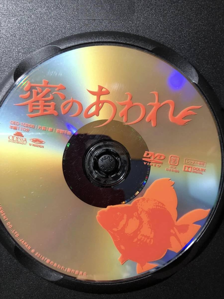 424 KAPPA DVD 石井岳龍監督作 20230405-OYT1I50161-1.jpg?type=ogp